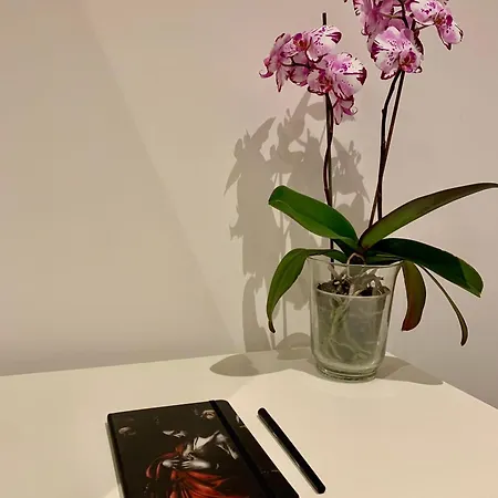Residenza D'artista Al Conservatorio Salerno