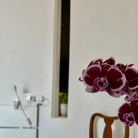 Lägenhet Residenza D'artista Al Conservatorio